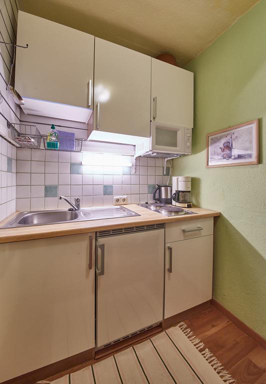 Appartements Alpin Зальбах-Хинтерглемм Экстерьер фото