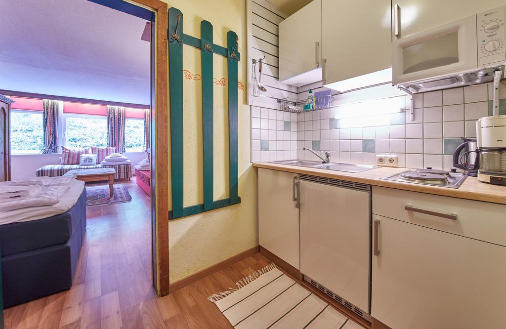 Appartements Alpin Зальбах-Хинтерглемм Экстерьер фото